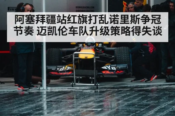 Formula 1 pit stop team